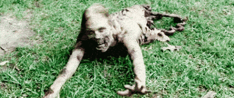 dead_zombie.gif