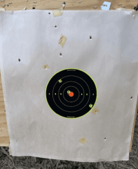 Ruger 25 yd..PNG