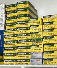 IMG_3637.jpeg