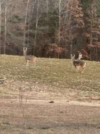 IMG_7818.jpeg
