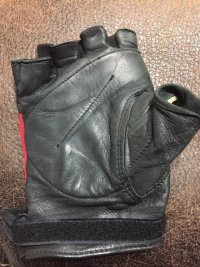 Glove2.jpg