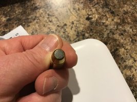 IMG_3781.jpeg
