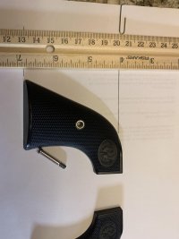 IMG_4650.jpeg