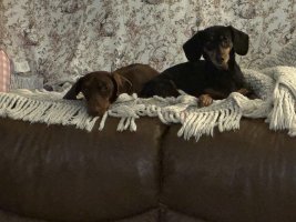 IMG_8700.jpeg