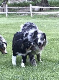 IMG_0040.jpeg