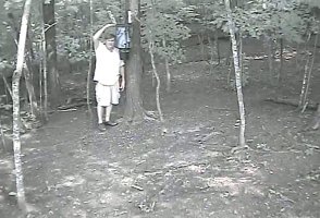 Feeder_2.JPG