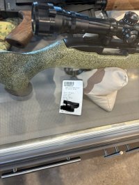 IMG_4966.jpeg