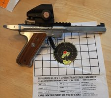 New Sight.jpg