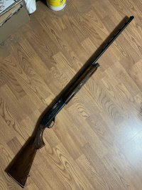 IMG_2946.jpeg