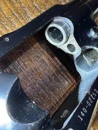 IMG_1397.jpeg