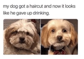 IMG_0961.jpeg
