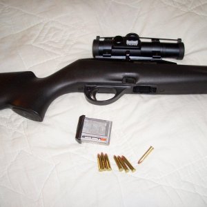 Remington  .22 Mag 005.jpg