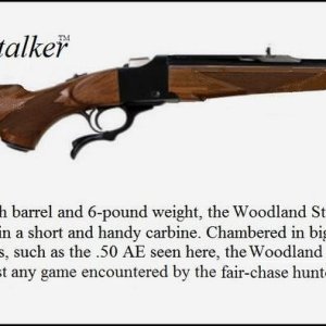 Ruger NO 1 Woodland Stalker.jpg