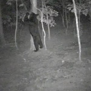 Feeder_1.JPG